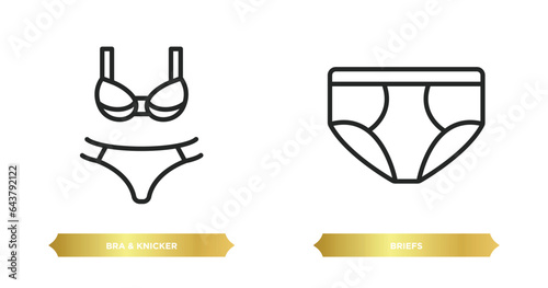 two editable outline icons from clothes concept. thin line icons such as bra & knicker, briefs vector.