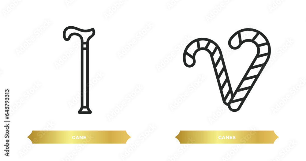 two editable outline icons from brazilia concept. thin line icons such as cane, canes vector. two editable outline icons from brazilia concept. thin line icons such as cane, canes vector.