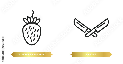 two editable outline icons from bistro and restaurant concept. thin line icons such as strawberry drawing, big knife vector.