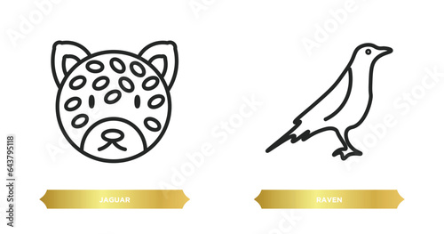 two editable outline icons from animals concept. thin line icons such as jaguar, raven vector.
