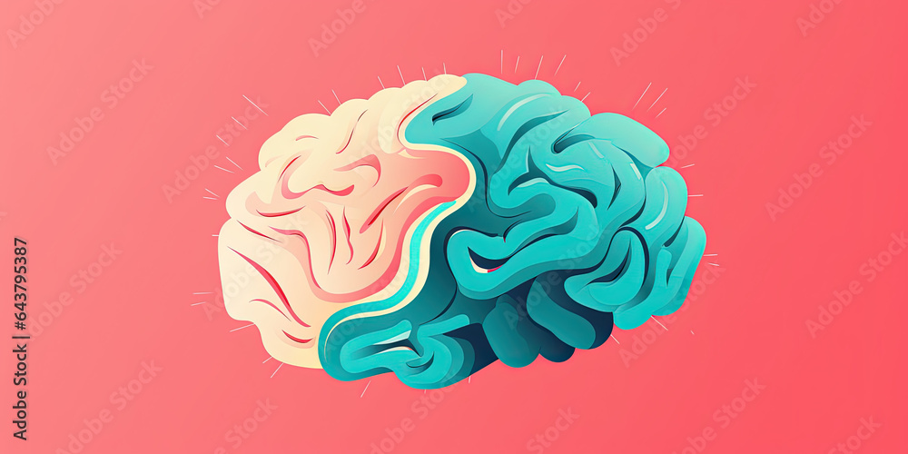 A brain divided by two colors