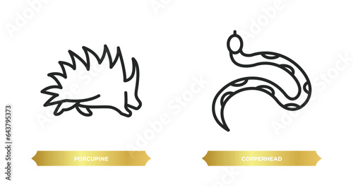 two editable outline icons from animals concept. thin line icons such as porcupine, copperhead vector.