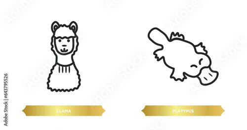 two editable outline icons from animals concept. thin line icons such as llama, platypus vector.