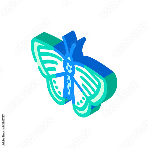 chalk hill blue spring isometric icon vector. chalk hill blue spring sign. isolated symbol illustration