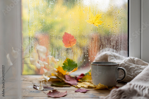 Cozy autumn concept. A cup of tea on a windowsill against a background of glass with raindrops