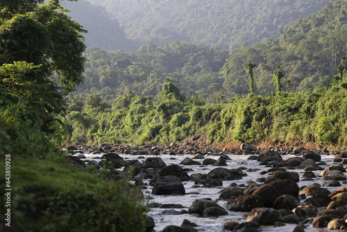 Water flows through mountain river 