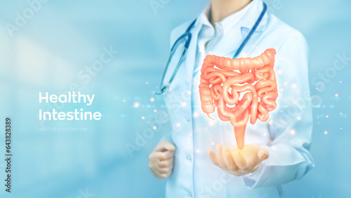 Intestine health. Diagnosis and treatment of the bowel. Intestinal inflammation, enteritis, colitis, dysbacteriosis. Doctor holding in hand human Intestine organ. Gastroenterology concept. Vector.