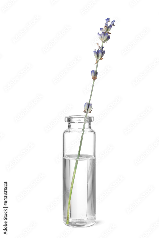 One bottle with essential oil and lavender isolated on white One bottle with essential oil and lavender isolated on white