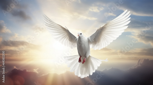 White dove flying through the clouds in the beautiful sky illuminated from the Sun. Symbol of freedom, peace and love