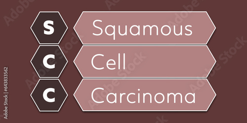 Scc Squamous Cell Carcinoma. An Acronym Abbreviation of a common Medical term. Illustration isolated on red background photo