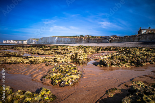 Seaweed covered chalk beds at Birling Gap beach in East Sussex, UK. photo