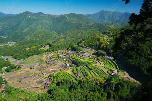 Maruyama rice terrace, Japan,Mie Prefecture,Kumano city photo