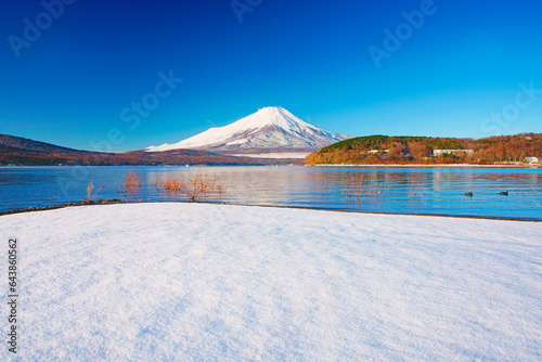 Fuji, snowfield and Lake Yamanakako, Yamanashi Prefecture,Minamitsuru District, Yamanashi,Yamanakako, Yamanashi,Japan photo