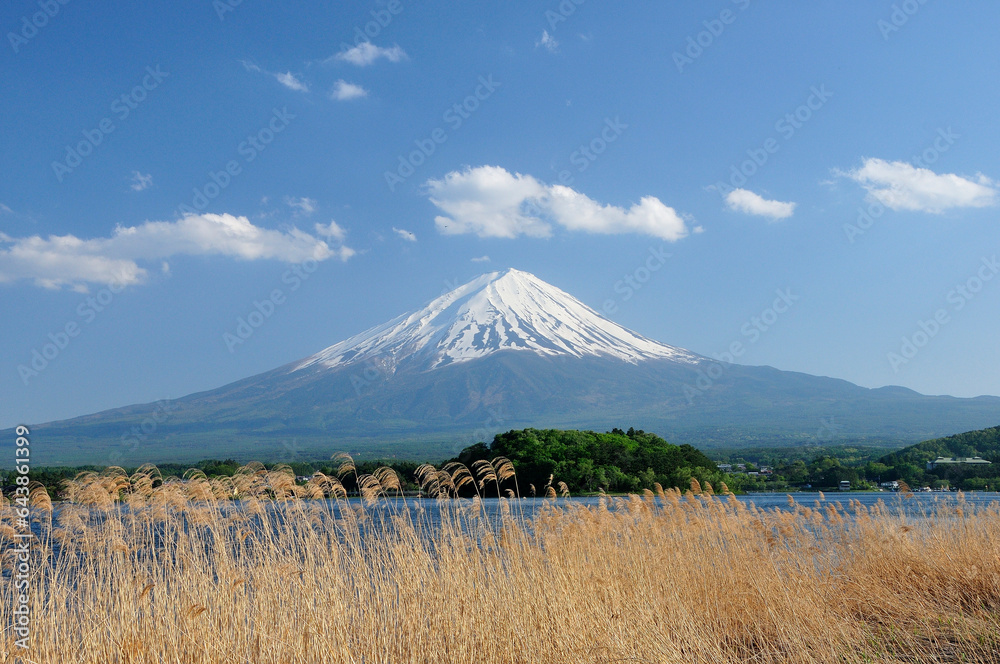 Mount Fuji, Japan,Yamanashi Prefecture,Fujikawaguchiko, Yamanashi Mount Fuji, Japan,Yamanashi Prefecture,Fujikawaguchiko, Yamanashi