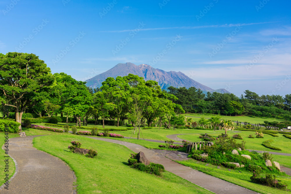 Yoshino Park and Sakurajima, Japan,Kagoshima Prefecture,Kagoshima Yoshino Park and Sakurajima, Japan,Kagoshima Prefecture,Kagoshima