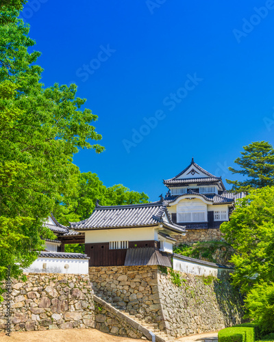 Bitchu Matsuyama Castle , Japan,Okayama Prefecture,Takahashi, Okayama photo