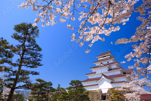 Cherry blossoms and Tsuruga Castle, Japan,Fukushima Prefecture,Aizu wakamatu shi,Pursuers Machi photo