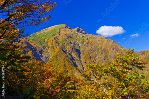 Mt. Tanigawa in autumn seen from Tenjin-daira, Japan,Gunma prefecture,Tone District, Gunma,Minakami-machi photo