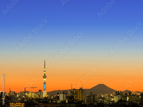 Tokyo sky tree and Mt Fuji, Japan,Chiba Prefecture,Ichikawa, Chiba photo