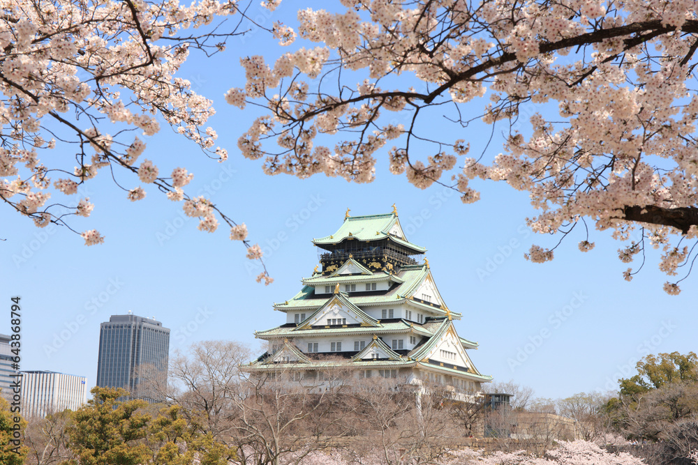 Osaka Castle and cherry blossoms, Japan,Osaka Prefecture,Osaka,Chuo-ku