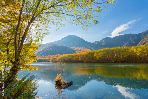 Autumn leaves at Taisho Pond, Japan,Nagano Prefecture,Matsumoto, Nagano