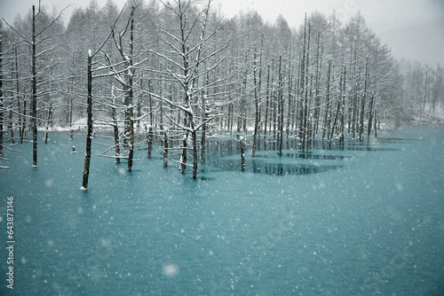 Blue Pond in winter, Japan,Hokkaido,Kamikawa-gun