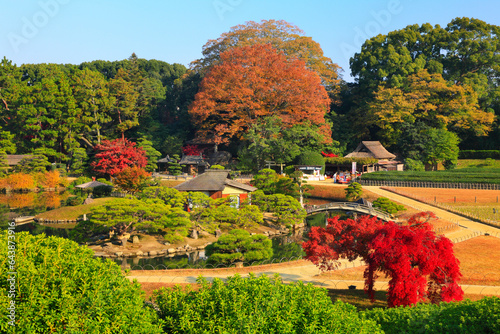 Autumn leaves in Korakuen Garden, Japan,Okayama Prefecture,Okayama city photo