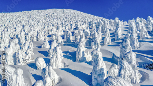 Yamagata Zao frost covered trees, Japan,Yamagata Prefecture,Yamagata, Yamagata