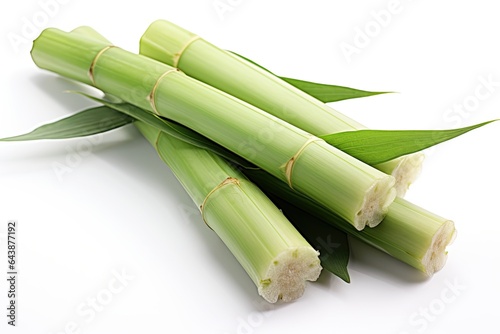 Sugarcane isolated on white background