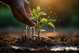 Human hand watering a young plant with water drops on the soil, Ecology concept, Generative AI