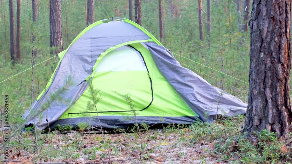 Green tent in forest among pine trees, camping concept. Green tent in forest among pine trees, camping concept.