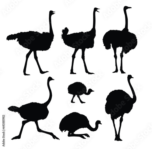 The set of silhouettes of ostriches.
