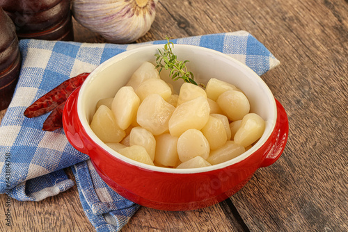 Raw scallop seafood in the bowl