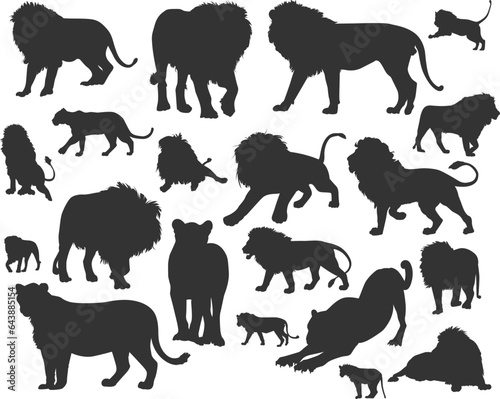 Photography set of lion silhouette