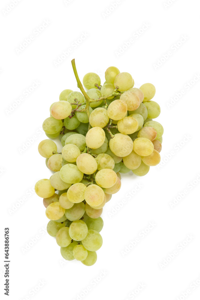 Green grape isolated on a white background.