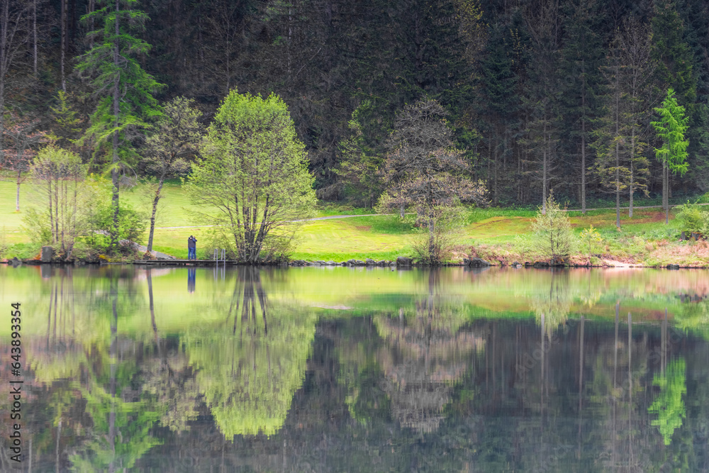 reflections from the trees in a mountain lake in austria