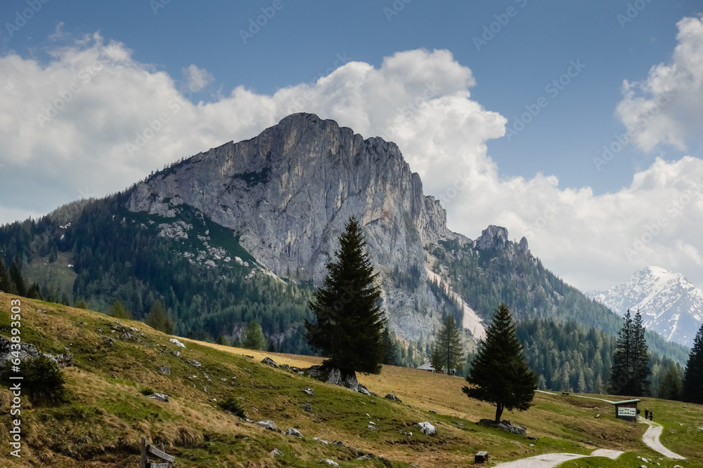 rocky mountain with a hiking path and single trees during hiking a valley