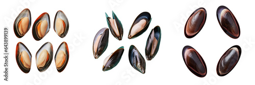 transparent background with four shell less mussels
