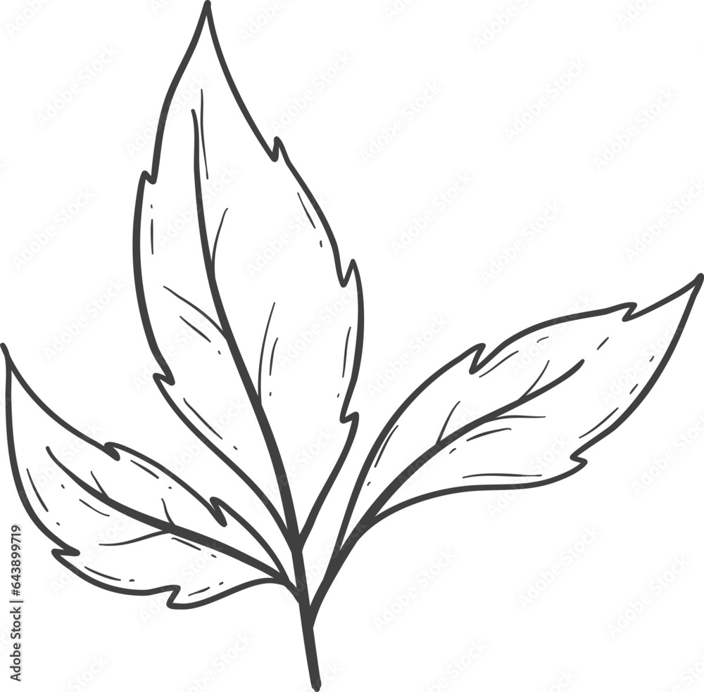 Hand drawn autumn leaves outline decoration Hand drawn autumn leaves outline decoration