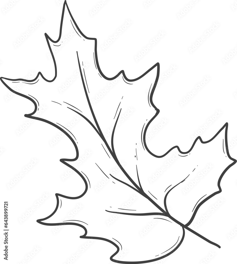 Fototapeta premium Hand drawn autumn leaves outline decoration