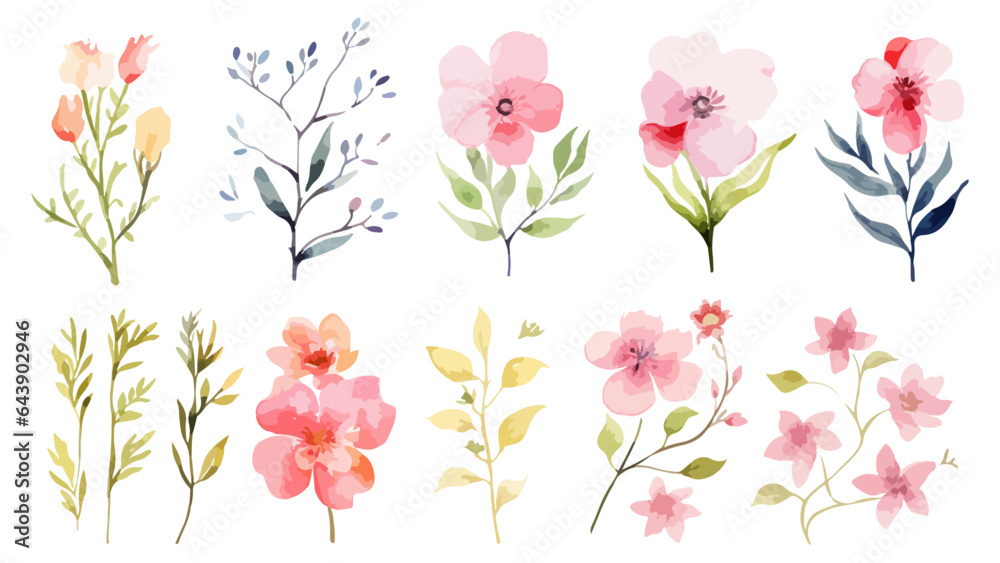 Set watercolor elements of pink roses; collection garden flowers; leaves; branches. Botanic Wedding floral design. Collection of greenery leaf plant forest herbs tropical leaves