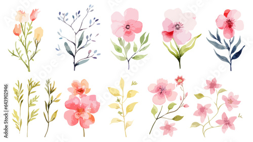 Set watercolor elements of pink roses; collection garden flowers; leaves; branches. Botanic Wedding floral design. Collection of greenery leaf plant forest herbs tropical leaves © Vector point