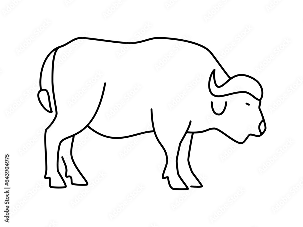 Buffalo linear vector icon. Isolated outline of an buffalo on a white background. Buffalo drawing.