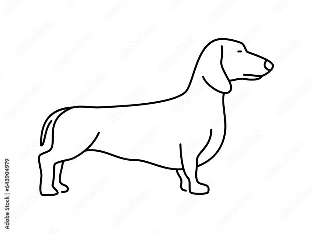 Dog linear vector icon. Isolated outline of an dog on a white background. Dog drawing.