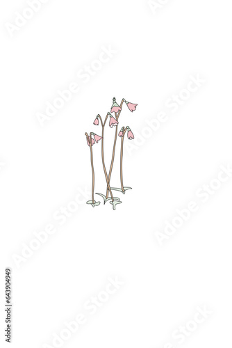 Moss bells, Mossklockor - name flower of Linnea 