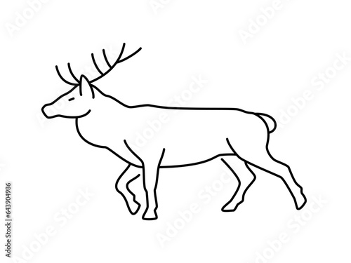 Deer linear vector icon. Isolated outline of an deer on a white background. Deer drawing.