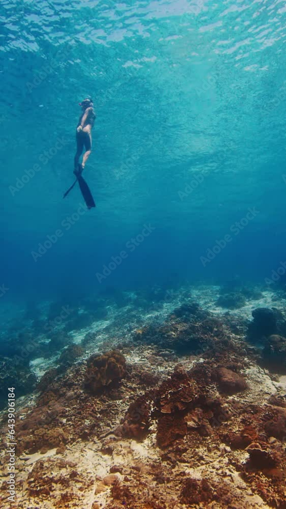 Female freediver swims in the tropical sea. Woman free diver glides underwater in a sea and ascends from the reef Female freediver swims in the tropical sea. Woman free diver glides underwater in a sea and ascends from the reef