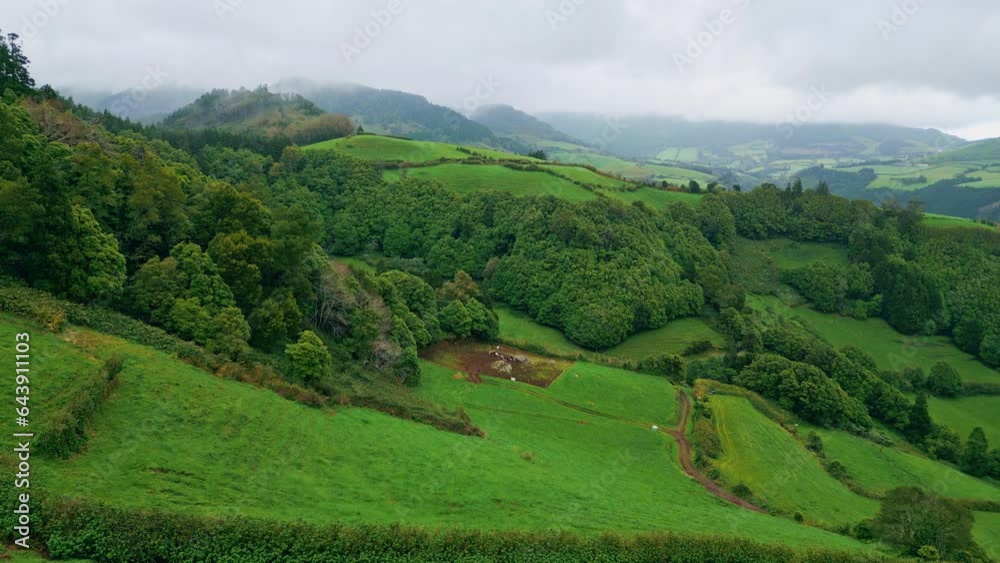 Low clouds covering woodland slopes drone. Mountains valley nature landscape Low clouds covering woodland slopes drone. Mountains valley nature landscape