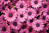 A bunch of pink flowers with a black background, Generative AI