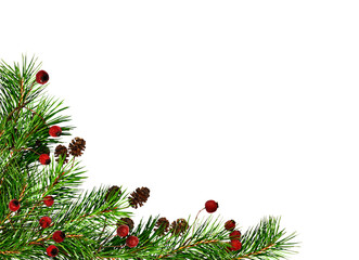 Christmas corner arrangement with pine twigs, small cones and red berries isolated on white or transparent background